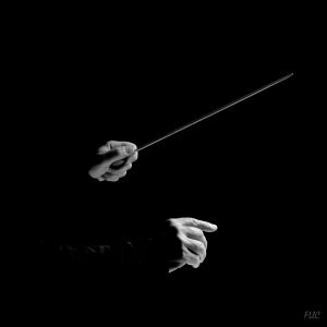 Fernando Llavador. 2º Clasificado