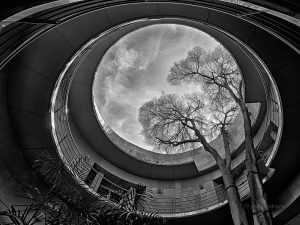 Pepe Pedraza. 1º Clasificado